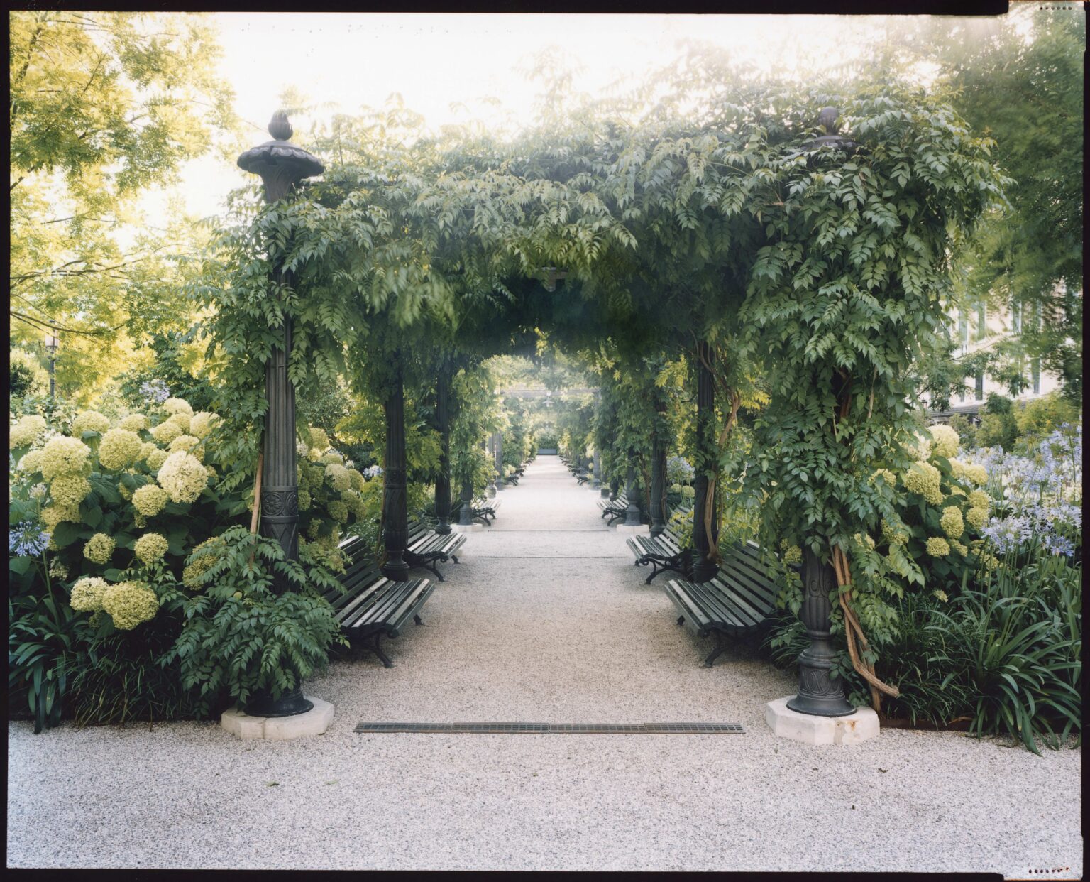 Giardini Reali Di Venezia Il Restauro Nel Racconto Di Adele Re