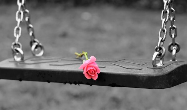 pink-rose-on-empty-swing-3656894_1920